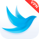 Dawn China VPN, 极光国内翻墙app