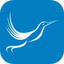 Fengniao China VPN, 蜂鸟国内翻墙app