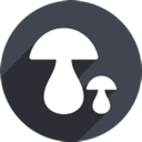 Mogu China VPN, 菌类国内翻墙app